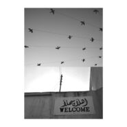 Welcome Birds